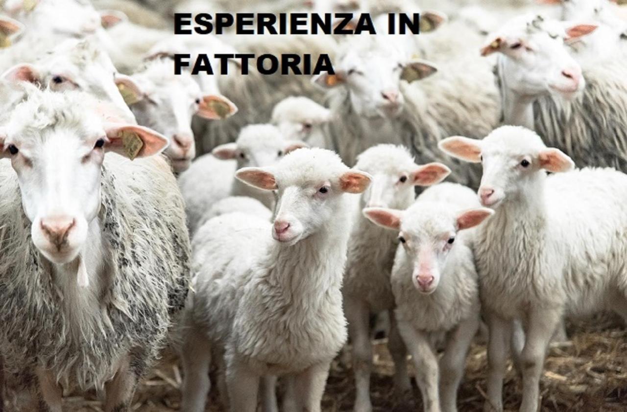 B&B Il Pittore Borgo San Lorenzo Zewnętrze zdjęcie