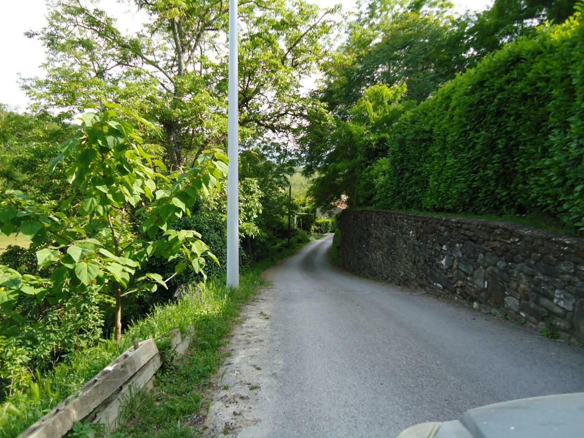 B&B Il Pittore Borgo San Lorenzo Zewnętrze zdjęcie
