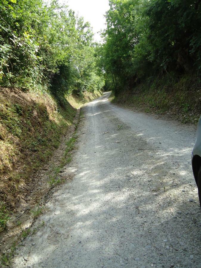 B&B Il Pittore Borgo San Lorenzo Zewnętrze zdjęcie