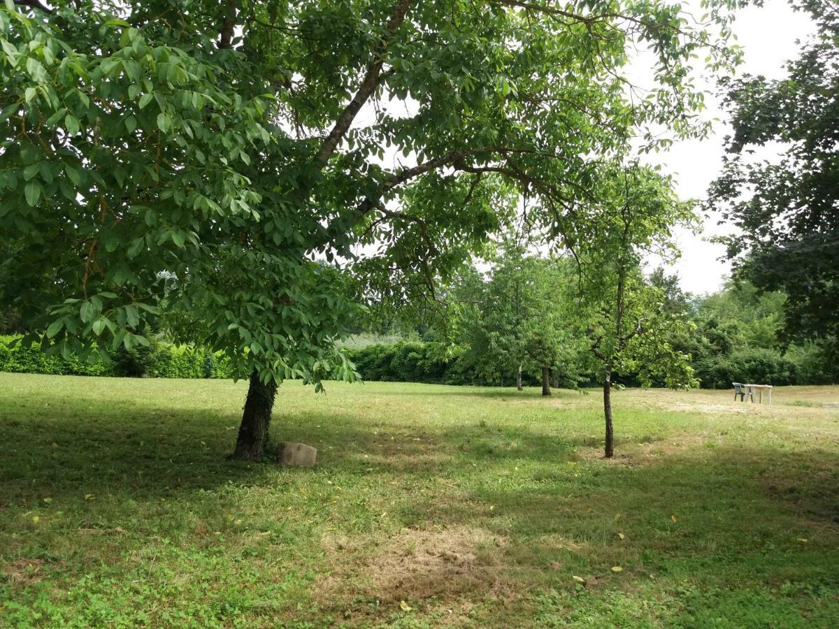 B&B Il Pittore Borgo San Lorenzo Zewnętrze zdjęcie